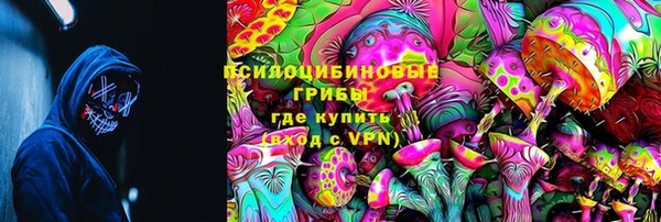 герыч Алексин