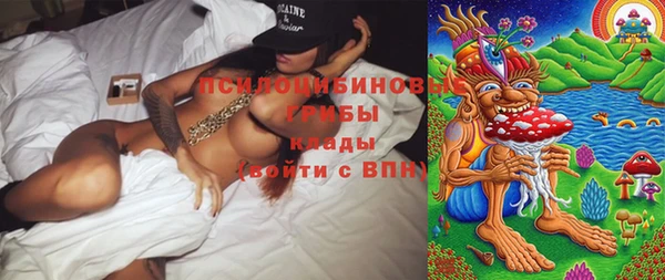 ГАЛЛЮЦИНОГЕННЫЕ ГРИБЫ Алексеевка