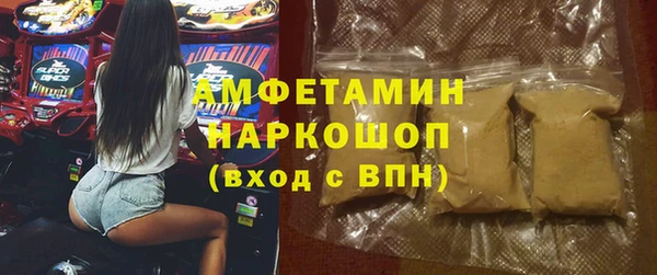 индика Алзамай